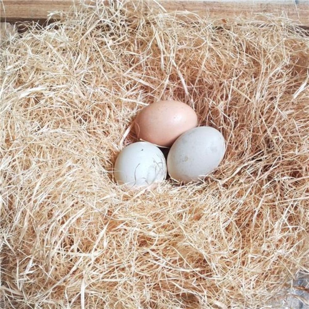 100g/3.5oz Natural Grass Nesting Pads for Chicken Hens Birds Nest Bedding